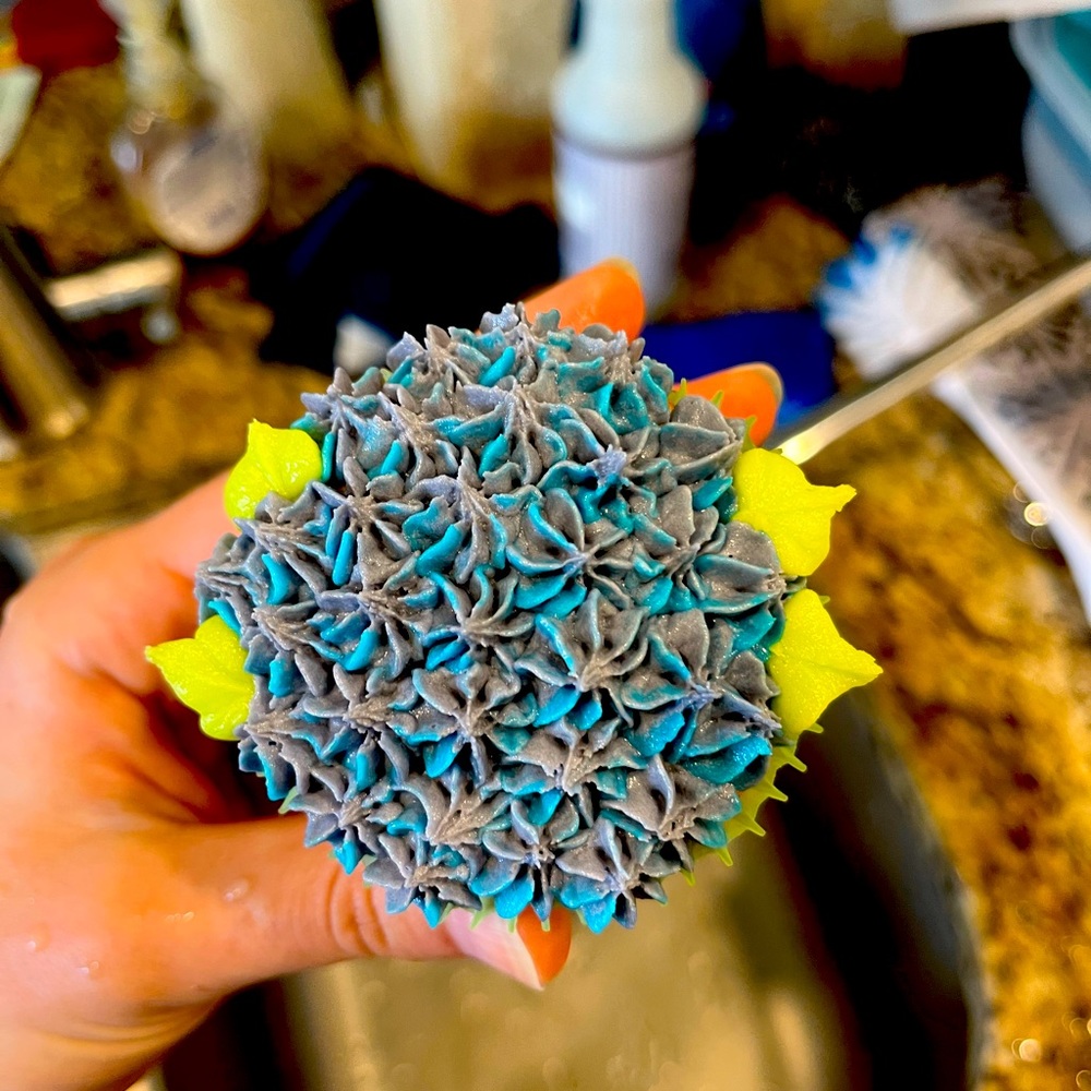 Meet your Posher, Caitlyn